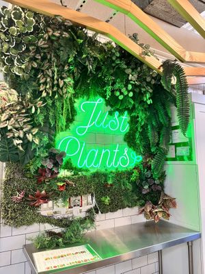   at Fala Bar in Santa Barbara