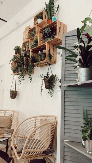 Indoor decoration  at Vegivores in Reading