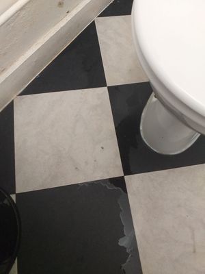 Bathroom leak at Vegivores in Reading