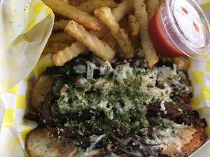 Florida steak n cheese sub with fries SO DELICIOUS and it’s NOT SOY!!! at HempLade Vegan Cafe in Tallahassee