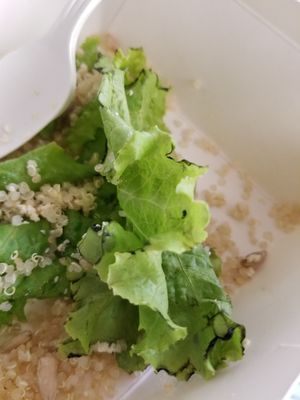 Rotting leelttuce at Corner Tree Cafe in Makati