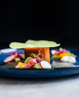 Carrot starter at Capriole Café in The Hague