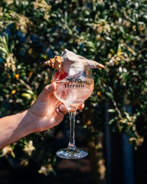 Hermit gin at Capriole Café in The Hague