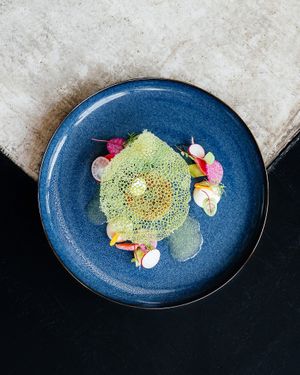 Carrot starter at Capriole Café in The Hague