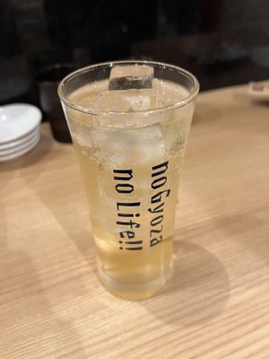   at Gyozaoh Dotonbori in Osaka