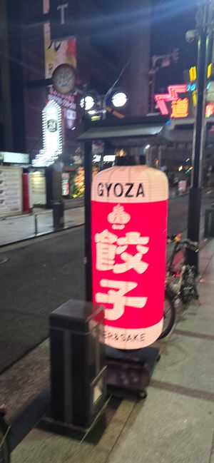 Amazing entry at Gyozaoh Dotonbori in Osaka