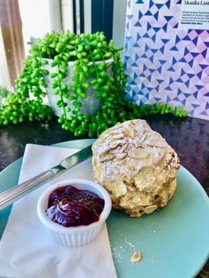 Raspberry, apple and vanilla scone  at The Guillemot Kitchen Cafe in Bangor