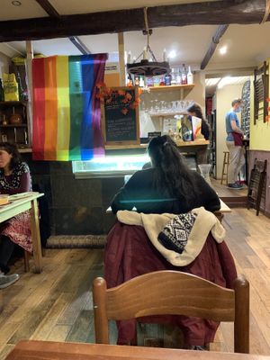 Inside at Sora Lella Roman Vegan Restaurant in Edinburgh