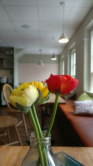 Beautiful interior at The Natural Store in Falmouth