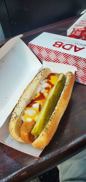 Veggie dog with toppings at ORD - America's Dog - T1 in Chicago