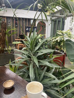  #Veganuary at Barefoot Eatery in Christchurch