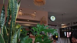 Lots of plants! at Barefoot Eatery in Christchurch