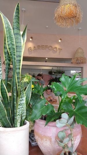 Barefoot at Barefoot Eatery in Christchurch