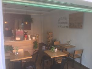 the space at Green & Yang in Mexico City