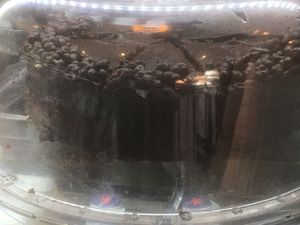 whole wheat flour based chocolate cake. cream is cacao and avocado. with cacao nibs at Green & Yang in Mexico City