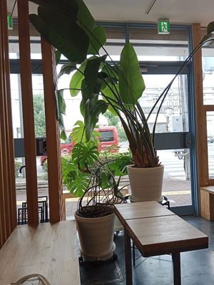  at ANY B&B + Coffee in Nara