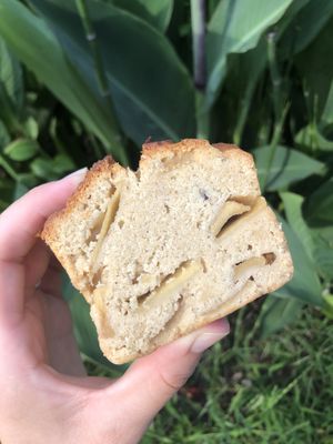 Apple currant bread  at ANY B&B + Coffee in Nara