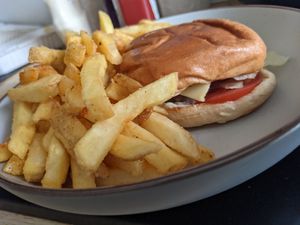 American burger 🍔 at Plant and Pulse in Birmingham