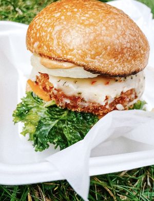 Caribbean burger at Plant and Pulse in Birmingham