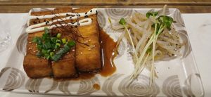 The only photo of the food I took, the vegan mains, Tofu Steak. at Fujifuku in Tokyo