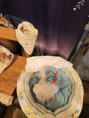   at Fujifuku in Tokyo