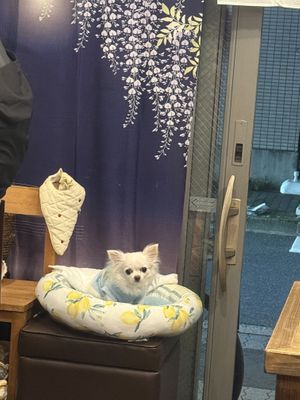   at Fujifuku in Tokyo