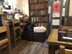 Guarding chihuahua at Fujifuku in Tokyo