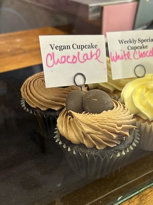   at Cloud 9 in Brighton