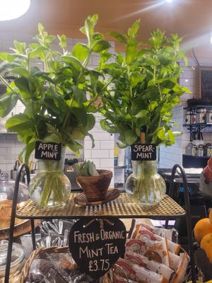 Organic Mint Tea For Sale at Alpine Coffee Shop and Gallery in Betws-y-coed