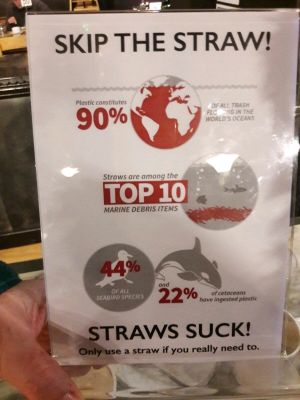 No straws! at Alpine Coffee Shop and Gallery in Betws-y-coed