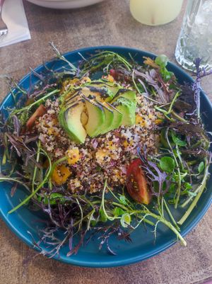 Ensalada de quinoa at Violeta in Santiago