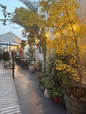   at Violeta in Santiago