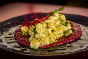 Ñoqui araucaria at Violeta in Santiago