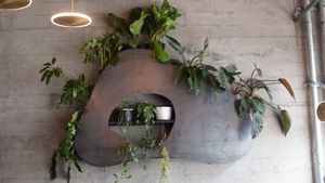 interior at Plum Bistro in Seattle