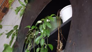 interior at Plum Bistro in Seattle