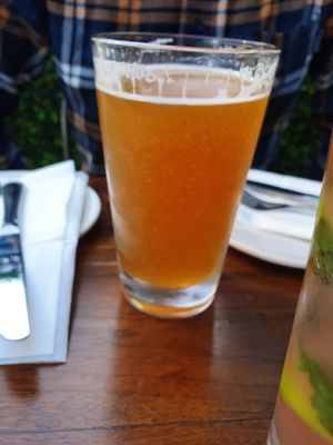 Vegan beer! at Plum Bistro in Seattle