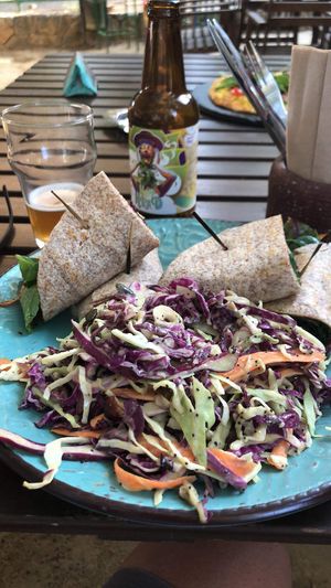 Asian Wrap with homemade Coleslaw at Evergreen in Nicosia
