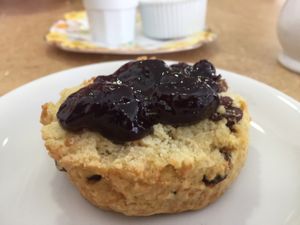 Vegan fruit scones  at Nourish in Inverness