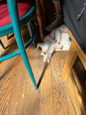   at Love Brew Scarborough in Scarborough