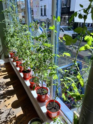   at Love Brew Scarborough in Scarborough