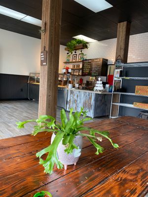 Super cute space!!  at Nick's On Mission in San Francisco