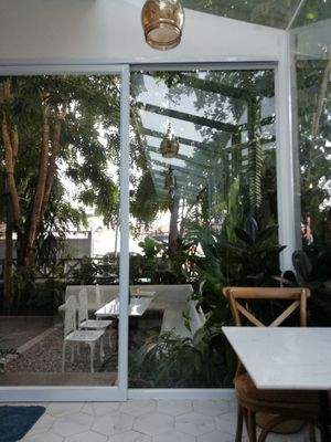 Air-conditioned inside looking at the greeny terrasse at The Living Library in Vientiane