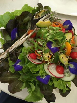 Green garden salad  at The Living Library in Vientiane