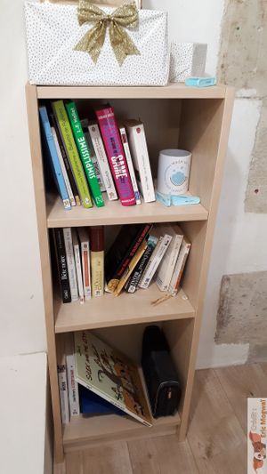 Books at Wash'Up Café Laverie Cosy in Paris