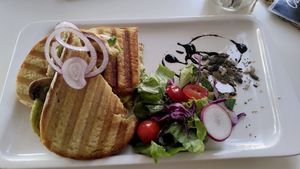 Avocado sandwich at Calma Cafe in Gran Canaria