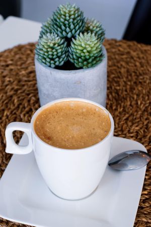 Great coffee with vegan milk, Oat, Soy or Almond at Calma Cafe in Gran Canaria