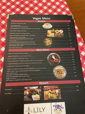 Vegan menu at Galata Lily in Istanbul