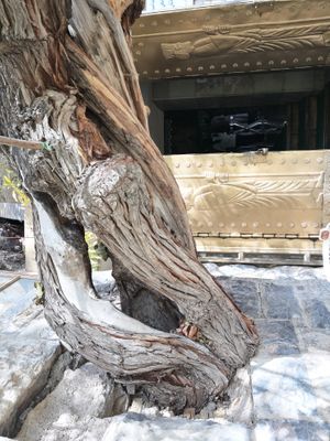 A zoroasterian temple at Iran Vegan Travel in Isfahan