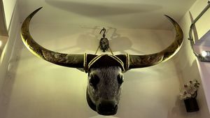 Not the thing to have above the vegan table  at Le Bistrot Viet in Santiago