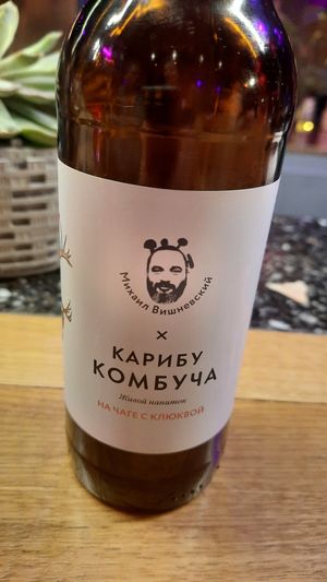 New kombucha. at Mission in Moscow